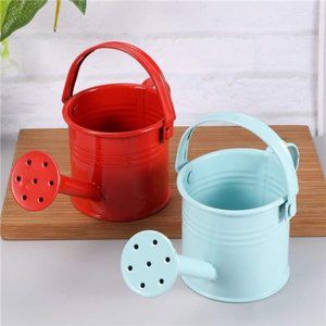 2pcs Watering Can Bucket for  Garden Outdoor Watering (Red and Light Blue)